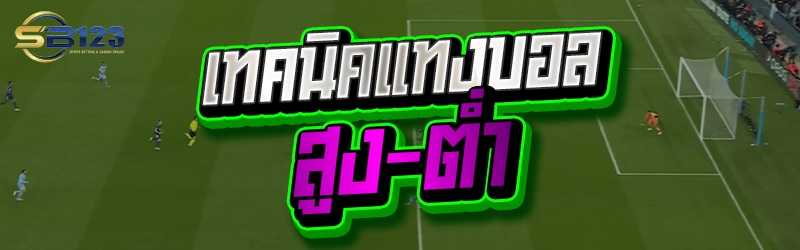 เทคนิคแทงบอลสูง-ต่ำ