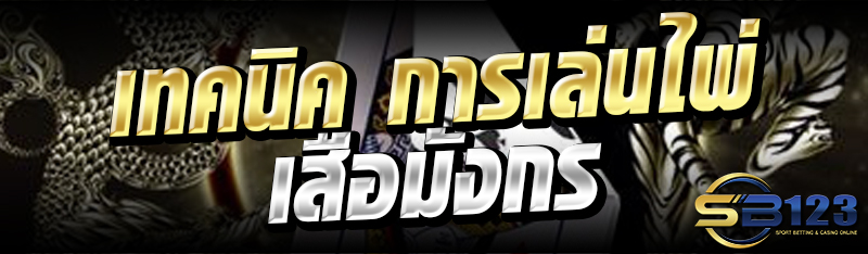 เทคนิค การเล่นไพ่เสือมังกร