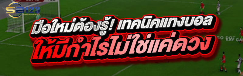 มือใหม่ต้องรู้! เทคนิคแทงบอลให้มีกำไรไม่ใช่แค่ดวง