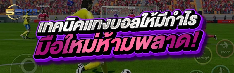 เทคนิคแทงบอลให้มีกำไรมือใหม่ห้ามพลาด!