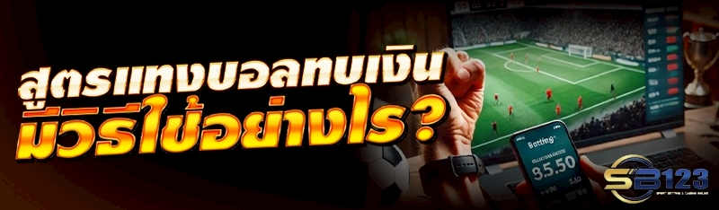 สูตรแทงบอลทบเงิน มีวิธีใช้อย่างไร?