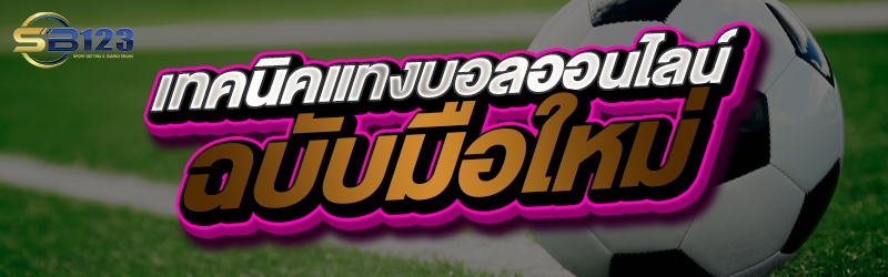 เทคนิคแทงบอลออนไลน์ฉบับมือใหม่