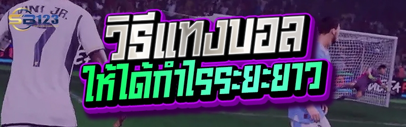 วิธีแทงบอล ให้ได้กำไรระยะยาว