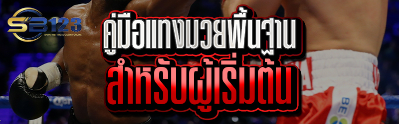 คู่มือแทงมวยพื้นฐานสำหรับผู้เริ่มต้น