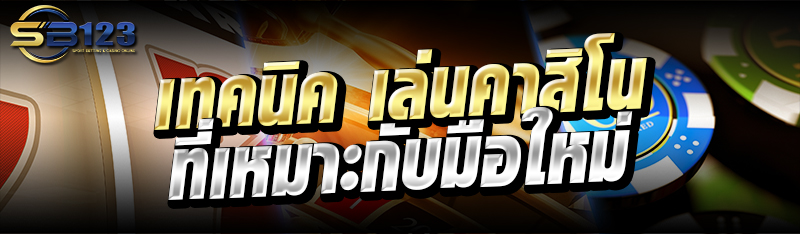 เทคนิค เล่นคาสิโน ที่เหมาะกับมือใหม่